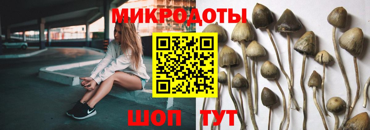 закладка  Вход с VPN  Новороссийск  Галлюциногенные грибы прущие грибы 